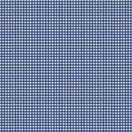 Hungry Animal Alphabet - Blue Gingham Blue Gingham