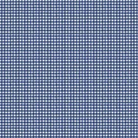 Hungry Animal Alphabet - Blue Gingham Blue Gingham