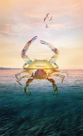 Seaside Crab Digital Panel 43-/2in x 26-1/2in