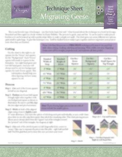 Migrating GeeseTechnique Sheet