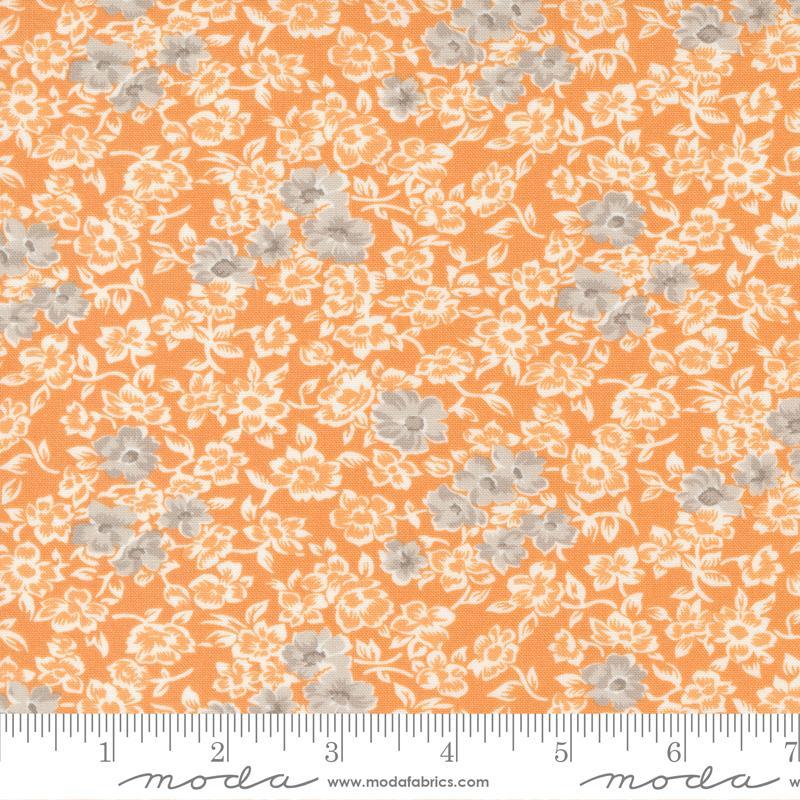 Harvest Moon  Pumpkin 20472 14