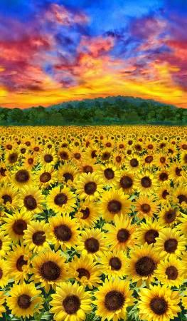 Multi Sunflower Sunset Panel
