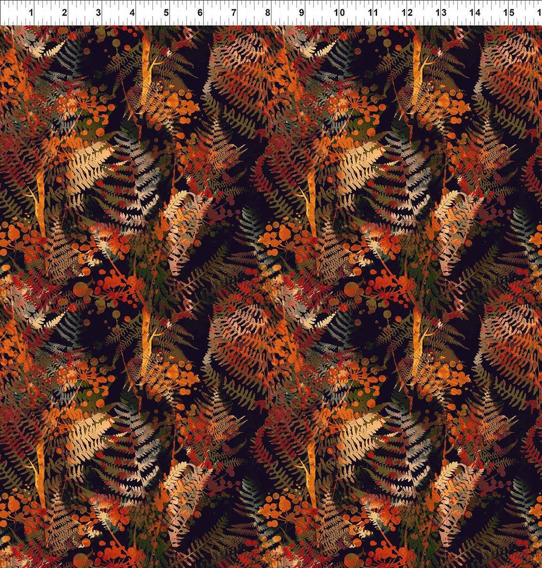 Reflections of Autumn Ferns