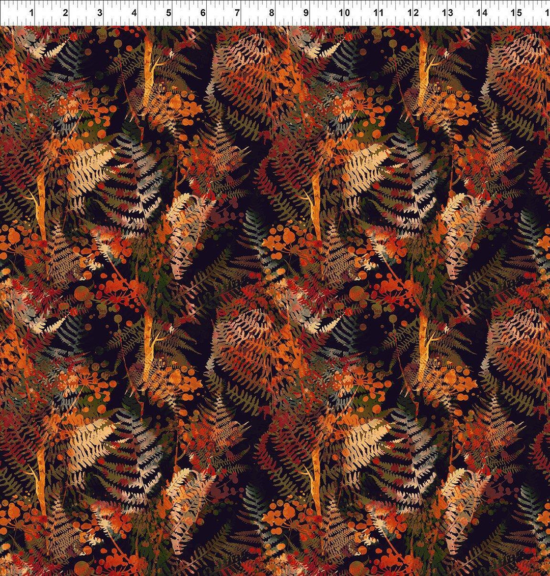 Reflections of Autumn Ferns