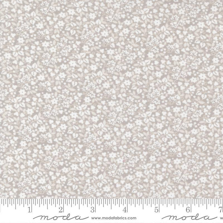 The Shores - 18743 14