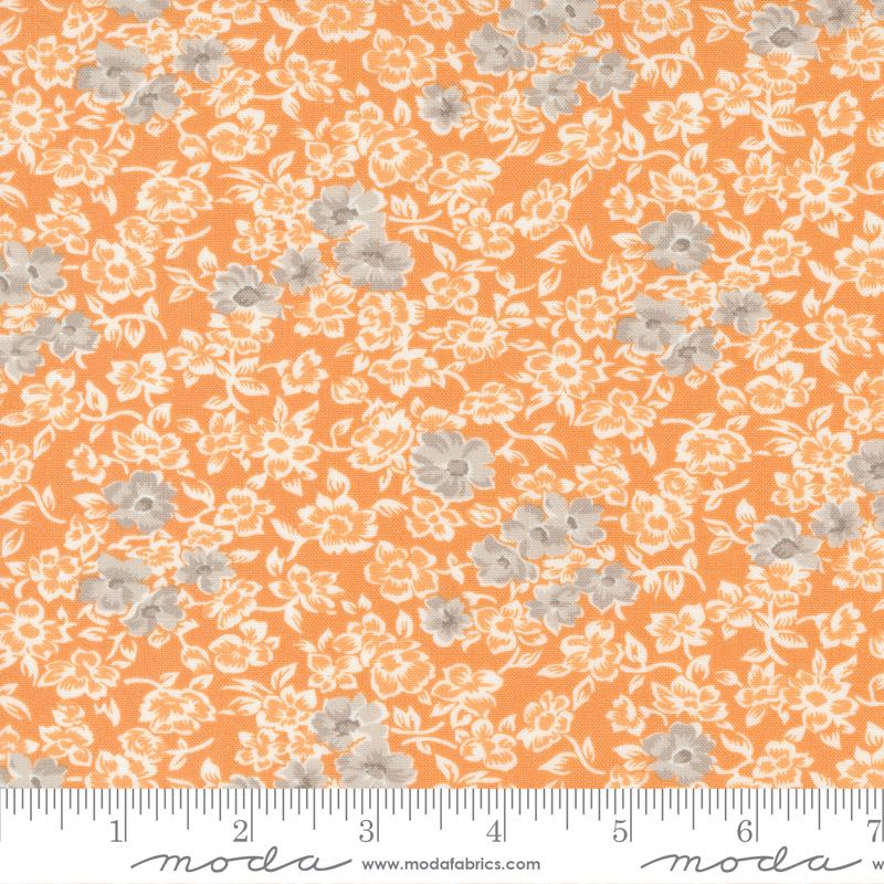 Harvest Moon  Pumpkin 20472 14