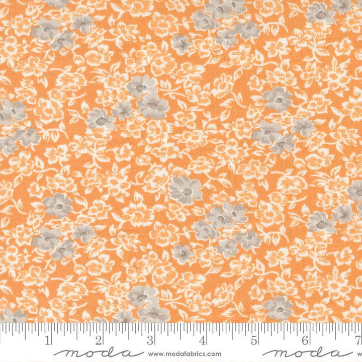 Harvest Moon  Pumpkin 20472 14