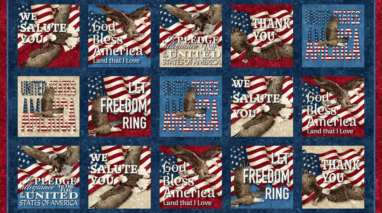 Stars and Stripes 12 - Freedom Squares Panel