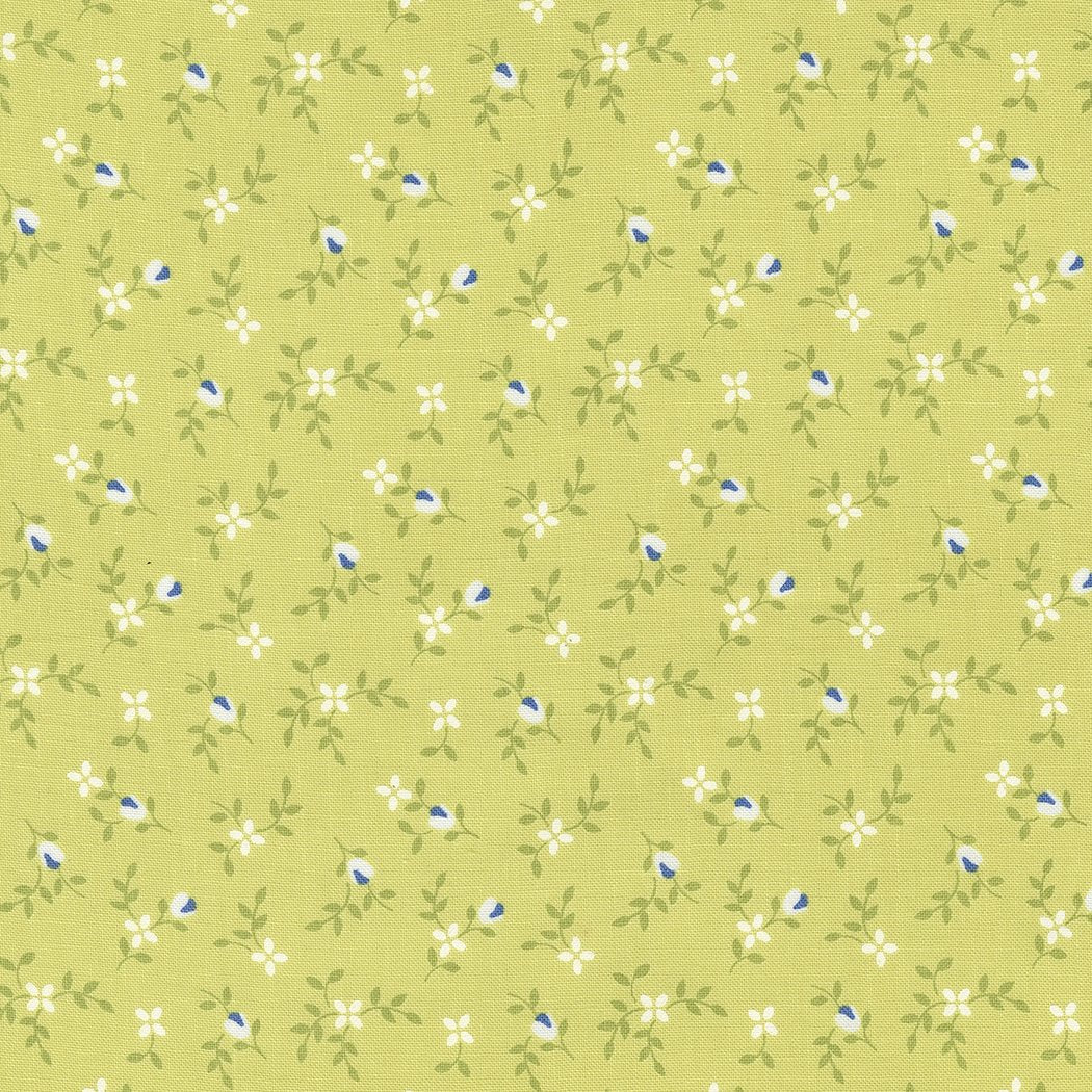 Cali & Co Light Lime 29192 38