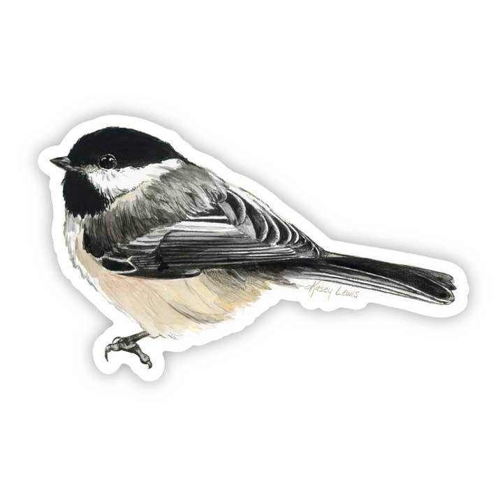 Kasey Melissa Art - Black Capped Chickadee / Vinyl Sticker