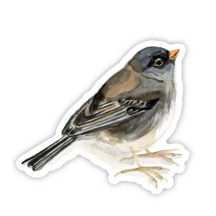Kasey Melissa Art - Dark Eyed Junco / Vinyl Sticker