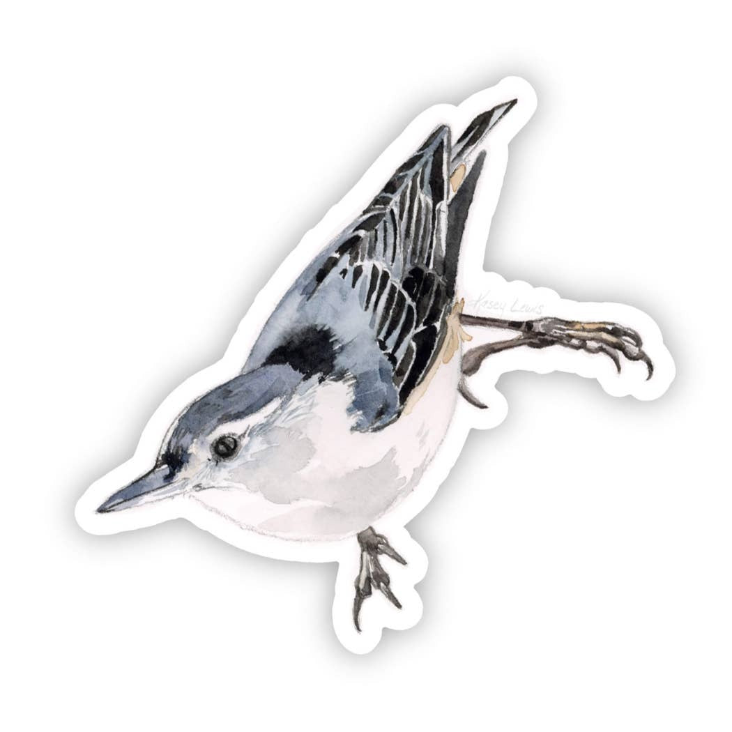 Kasey Melissa Art - Nuthatch / Vinyl Sticker